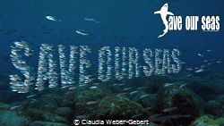 Save
Our
Seas by Claudia Weber-Gebert 